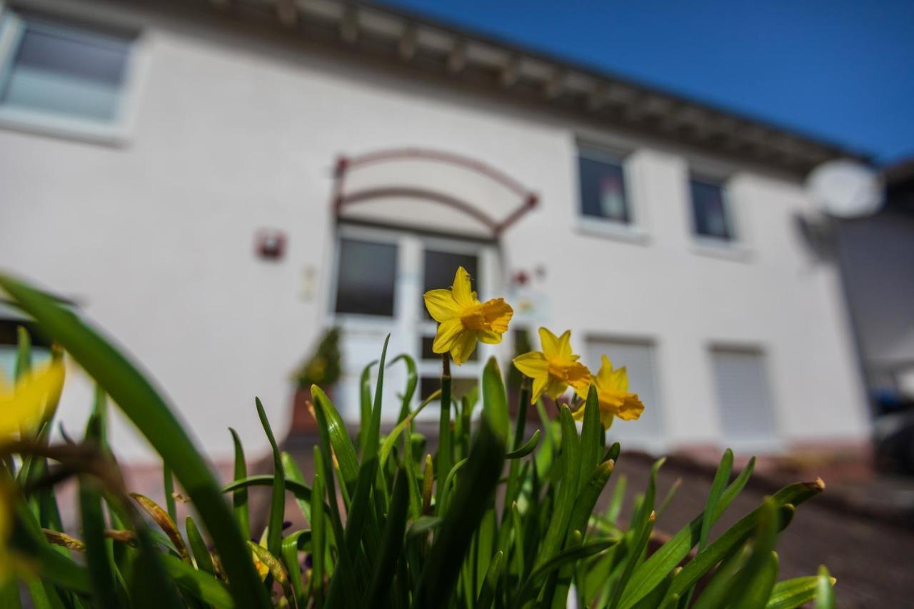 Haus Flora - Ferienwohnungen Cochem Dış mekan fotoğraf
